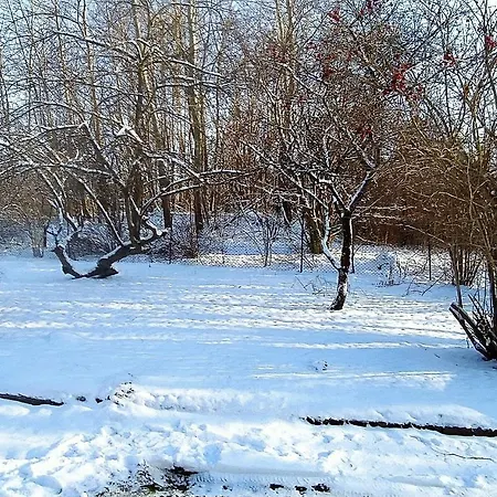 ヴィラ Pszczeli Zakatek Na Warmii Debowiec (Warmian-Masurian)